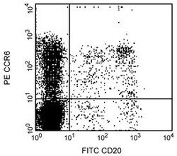 CD196 Mouse anti-Human, PE, Clone: 11A9, BD 50 Tests; PE:Antibodies, Monoclonal