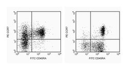 CD197 (CCR7) Rat anti-Human, PE, Clone: 3D12, BD 25 Tests; PE:Anticorps,