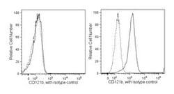 CD121B Mouse anti-Human, Unlabeled, Clone: MNC2, BD 0.5mg; Unlabeled:Antibodies,