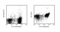 D124 Rat anti-Mouse, PE, Clone: mIL4R-M1, BD 25&mu;g; PE:Antibodies, Monoclonal