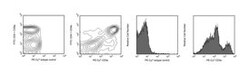 CD3e Hamster anti-Mouse, PE-Cy7, Clone: 145-2C11, BD:Antibodies:Primary