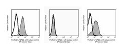 IL-12 Receptor 2 Hamster anti-Mouse, Unlabeled, Clone: HAM10B9, BD 0.1mg;