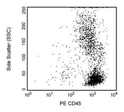 CD45, NHP Mouse, PE, Clone: DO58-1283, BD 50 Tests | Buy Online | BD Biosciences | Fisher Scientific