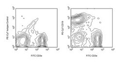 CD19 Rat anti-Mouse, PE-Cy7, Clone: 1D3, BD 25 &mu;g | Buy Online | BD Biosciences | Fisher Scientific