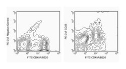 CD25 Rat anti-Mouse, PE-Cy7, Clone: PC61, BD:Antibodies:Primary Antibodies