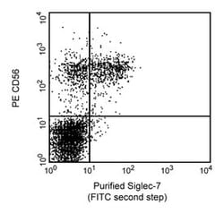 CD328 Mouse anti-Human, Unlabeled, Clone: F023-420, BD 0.1mg; Unlabeled:Antibodies,