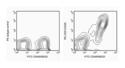 CD21/CD35 Rat anti-Mouse, PE, Clone: 7G6, BD 0.2mg; PE:Antibodies, Monoclonal