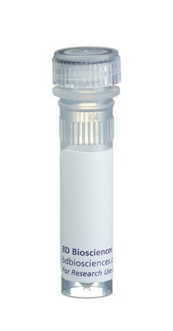 CD90.2 Rat anti-Mouse, Biotin, Clone: 30-H12, BD 0.5mg; Biotin:Antibodies,