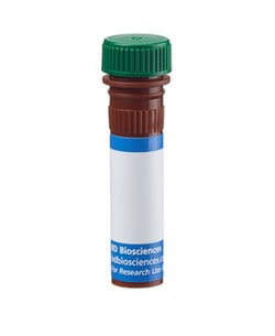 V 6 TCR Rat anti-Mouse, FITC, Clone: RR4-7, BD 0.25 mg | Buy Online | BD Biosciences | Fisher Scientific