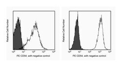 CD54 Hamster anti-Mouse, PE, Clone: 3E2, BD 0.2mg; PE:Antibodies, Monoclonal