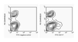 CD117 Rat anti-Mouse, FITC, Clone: 2B8, BD 50&mu;g; FITC:Antibodies, Monoclonal