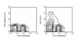 CD117 Rat anti-Mouse, APC, Clone: 2B8, BD 25&mu;g; APC:Antibodies, Monoclonal