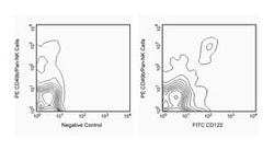 CD122 Rat anti-Mouse, FITC, Clone: TM- 1, BD 50&mu;g; FITC:Antibodies,
