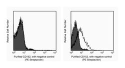 CD152 Hamster anti-Mouse, Unlabeled, Clone: UC10-4F10-11, BD 0.5mg; Unlabeled:Antibodies,