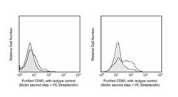 CD80 Hamster anti-Mouse, Unlabeled, Clone: 16-10A1, BD 0.5mg; Unlabeled:Antibodies,