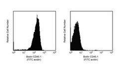 CD45.1 Mouse anti-Mouse, Biotin, Clone: A20, BD 0.5 mg | Buy Online | BD Biosciences | Fisher Scientific