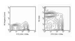 CD40 Rat anti-Mouse, PE, Clone: 3/23, BD 25&mu;g; PE:Antibodies, Monoclonal