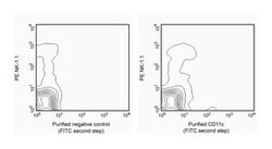 CD11c Hamster anti-Mouse, Unlabeled, Clone: HL3, BD 0.5mg; Unlabeled:Antibodies,