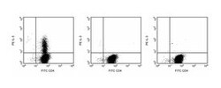 IL-3 Rat anti-Mouse, PE, Clone: MP2-8F8, BD 0.1mg; PE:Antibodies, Monoclonal