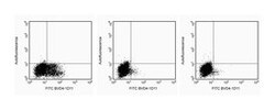 IL-4 Rat anti-Mouse, Unlabeled, Clone: BVD4-1D11, BD 0.1mg; Unlabeled:Antibodies,