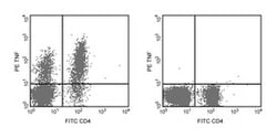 TNF Rat anti-Mouse, PE, Clone: MP6-XT22, BD:Antibodies:Primary Antibodies