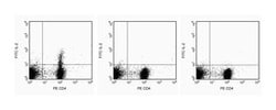 IL-2 Rat anti-Mouse, Unlabeled, Clone: JES6-5H4, BD 0.1mg; Unlabeled:Antibodies,