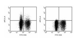 IL-4 Rat anti-Human, APC, Clone: MP4-25D2, BD 0.1mg; APC:Antibodies, Monoclonal