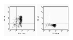 IL-6 Rat anti-Human, PE, Clone: MQ2-13A5, BD 0.1mg; PE:Antibodies, Monoclonal
