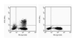 IFN- Mouse anti-Human, FITC, Clone: 4S.B3, BD 0.1mg; FITC:Antibodies, Monoclonal