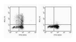 IL-12 (p40/p70) Mouse anti-Human, Unlabeled, Clone: C11.5, BD 0.1mg; Unlabeled:Antibodies,