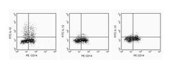 IL-12 (p40/p70) Mouse anti-Human, FITC, Clone: C11.5, BD 0.1mg; FITC:Antibodies,