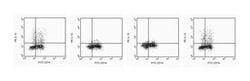 IL-12 (p40/p70) Mouse anti-Human, PE, Clone: C11.5, BD 0.1mg; PE:Antibodies,