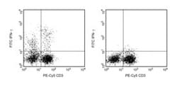 IFN- Mouse anti-Human, FITC, Clone: B27, BD 0.1mg; FITC:Antibodies, Monoclonal