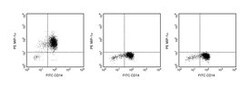 MIP-1 Mouse anti-Human, PE, Clone: 11A3, BD 0.1mg; PE:Antibodies, Monoclonal