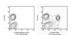 CD8a Mouse anti-Rat, Unlabeled, Clone: OX-8, BD 0.5mg; Unlabeled:Antibodies,