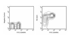 CD31 Mouse anti-Rat, PE, Clone: TLD-3A12, BD 0.1mg; PE:Antibodies, Monoclonal