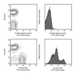 CD3 Molecular Complex Rat anti-Mouse, Unlabeled, Clone: 17A2, BD 0.5 mg | Buy Online | BD Biosciences | Fisher Scientific