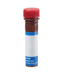 CD3 Molecular Complex Rat anti-Mouse, PE, Clone: 17A2, BD:Anticuerpos:Anticuerpos
