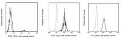 CD32 Mouse anti-Human, FITC, Clone: FLI8.26, BD 100 Tests; FITC:Antibodies,