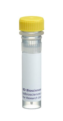 PARP Mouse, Unlabeled, Clone: C2-10, BD 0.1mL; Unlabeled:Anticuerpos