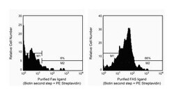 CD178 Mouse anti-Human, NA/LE, Unlabeled, Clone: NOK-1, BD 0.25mg; NA/LE,