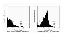 CD178 Mouse anti-Human, Unlabeled, Clone: NOK-1, BD 0.1mg; Unlabeled:Antibodies,