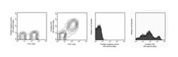 CD3 Mouse anti-Rat, Unlabeled, Clone: 1F4, BD 0.5mg; Unlabeled:Antibodies,