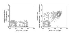 CD28 Hamster anti-Mouse, Unlabeled, Clone: 37.51, BD 0.1mg; Unlabeled:Antibodies,