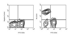 CD19 Rat anti-Mouse, PE, Clone: 1D3, BD 0.1mg; PE:Anticuerpos