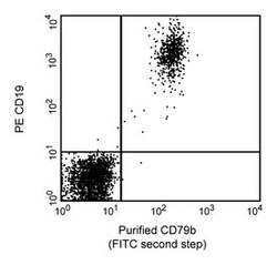 CD79b Mouse anti-Human, Unlabeled, Clone: SN8, BD 0.1mg; Unlabeled:Antibodies,