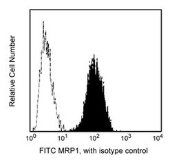 MRP-1 Mouse anti-Human, FITC, Clone: QCRL-3, BD 100 Tests; FITC:Antibodies,