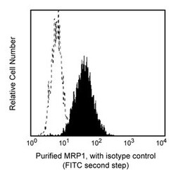 MRP-1 Mouse anti-Human, Unlabeled, Clone: QCRL-3, BD 0.1mg; Unlabeled:Antibodies,