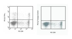 INF-g Mouse anti-Human, PE-Cy7, Clone: B27, BD 25 Tests; PE-Cy7:Antibodies,