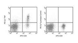 anti-IgG1 , Rat , PE-Cy 7, Clone: R3-34, BD 0.1mg; PE-Cy&trade;7:Antibodies